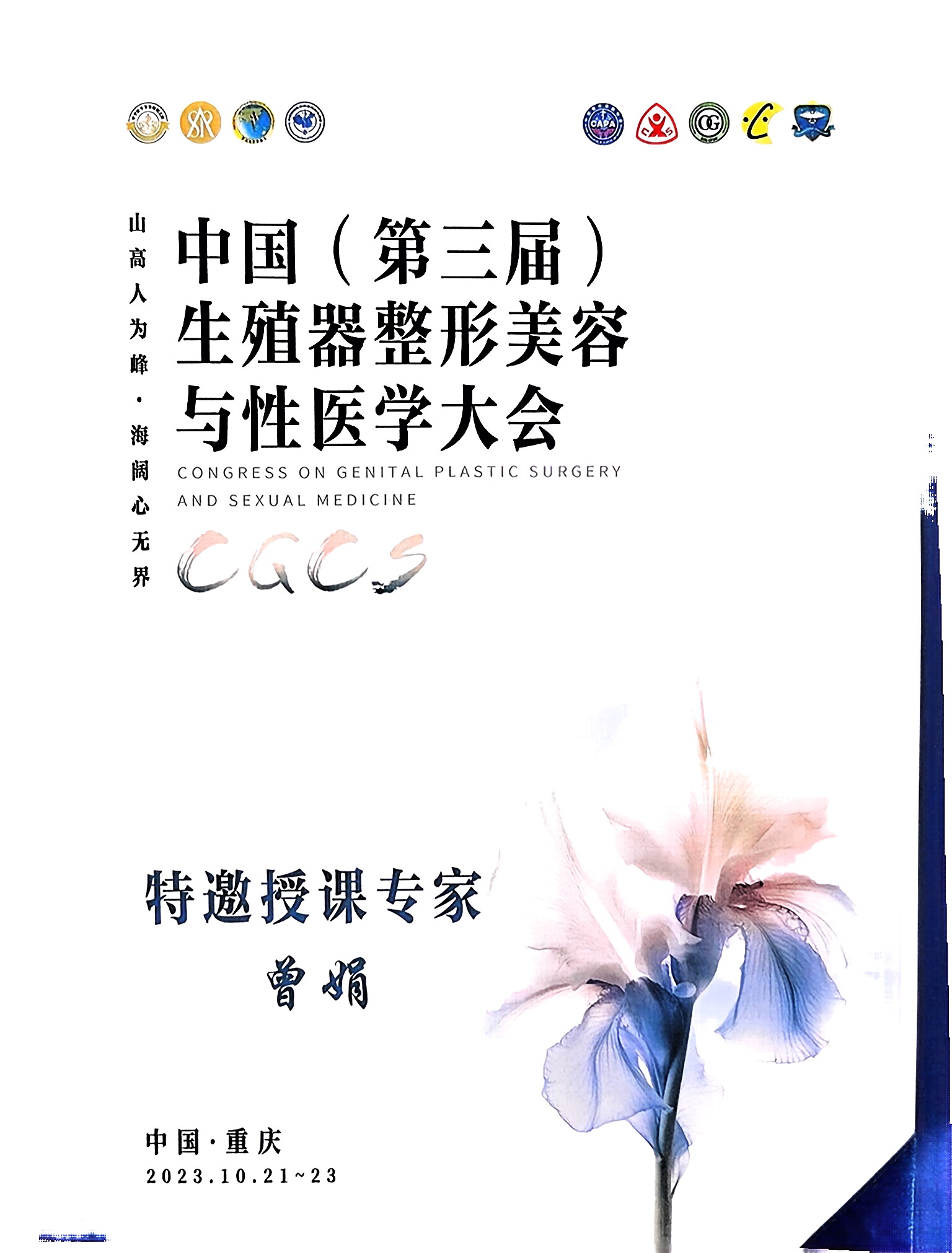 专业资质证书，金色边框，正式证书格式，深色背景